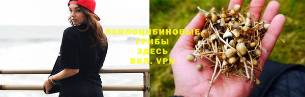 круглые Карпинск