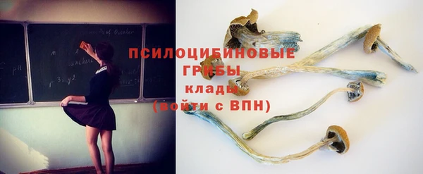 твердый Киреевск