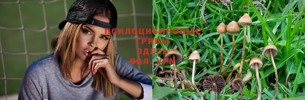 MESCALINE Карталы