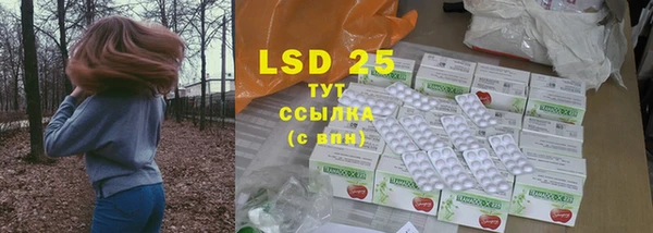 2c-b Инсар